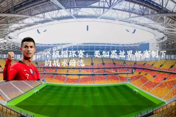 小组循环赛：美加墨世界杯赛制下的战术暗流